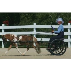 Ozark Mini Fancy Rolled Leather Harness 21 Ozark Mini Fancy Rolled Leather Harness -Horse Supply Store TE023705 12