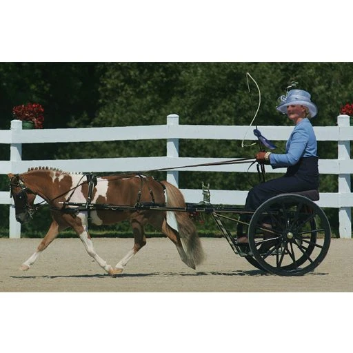 Ozark Mini Fancy Rolled Leather Harness 11 Ozark Mini Fancy Rolled Leather Harness - Image 9