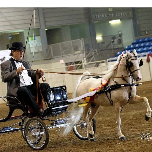 Ozark Mini Fancy Rolled Leather Harness 3 Ozark Mini Fancy Rolled Leather Harness