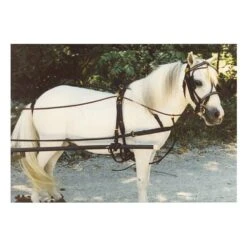 Ozark Mini/Pony Show Harness 11 Ozark Mini/Pony Show Harness -Horse Supply Store TE023708 02