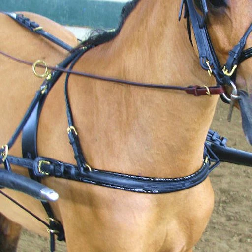 Ozark Mini/Pony Show Harness 6 Ozark Mini/Pony Show Harness - Image 4