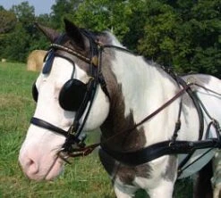 Ozark Mini/Pony V Breast Collar -Horse Supply Store TE023715 551096 01