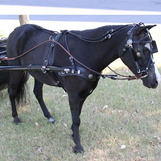 Ozark Min/Pony Western Show Harness 11 Ozark Min/Pony Western Show Harness - Image 9