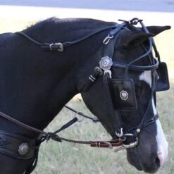 Ozark Min/Pony Western Show Harness 27 Ozark Min/Pony Western Show Harness -Horse Supply Store TE023717 05