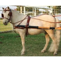 Ozark Min/Pony Western Show Harness 28 Ozark Min/Pony Western Show Harness -Horse Supply Store TE023717 06