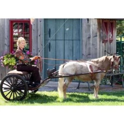 Ozark Min/Pony Western Show Harness 21 Ozark Min/Pony Western Show Harness -Horse Supply Store TE023717 07