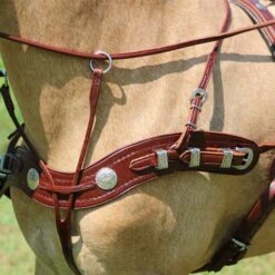 Ozark Min/Pony Western Show Harness 29 Ozark Min/Pony Western Show Harness -Horse Supply Store TE023717 11