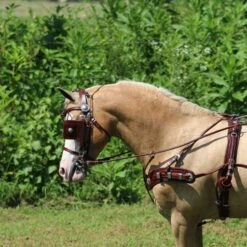 Ozark Min/Pony Western Show Harness 30 Ozark Min/Pony Western Show Harness -Horse Supply Store TE023717 16