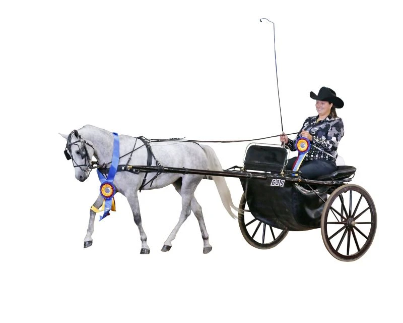 Ozark Min/Pony Western Show Harness 17 Ozark Min/Pony Western Show Harness - Image 15