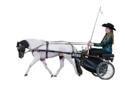 Ozark Min/Pony Western Show Harness 33 Ozark Min/Pony Western Show Harness -Horse Supply Store TE023717 554858 02