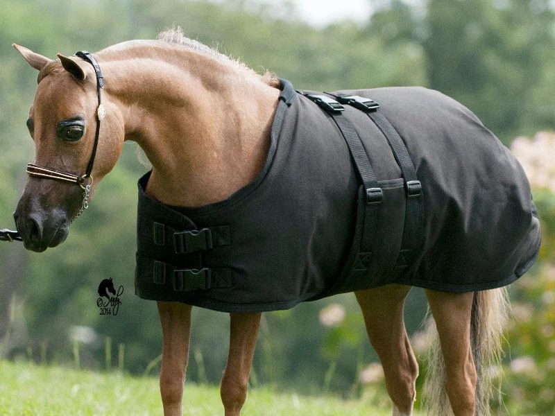 Ozark Mini/Pony Arctic Waterproof 300g Blanket 4 Ozark Mini/Pony Arctic Waterproof 300g Blanket - Image 2