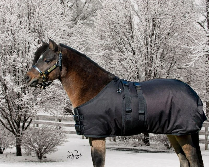 Ozark Mini/Pony Arctic Waterproof 300g Blanket 5 Ozark Mini/Pony Arctic Waterproof 300g Blanket - Image 3