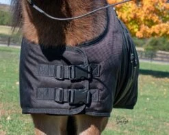 Ozark Mini/Pony Arctic Waterproof 300g Blanket 10 Ozark Mini/Pony Arctic Waterproof 300g Blanket -Horse Supply Store TE023797 551894 04