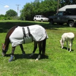 Ozark Mini/Pony Lt Wt Fly Sheet -Horse Supply Store TE023827 03