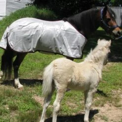 Ozark Mini/Pony Lt Wt Fly Sheet -Horse Supply Store TE023827 04
