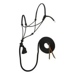 Silvertip No.95 Halter W/10ft Lead -Horse Supply Store TE023852 604981
