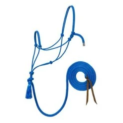 Silvertip No.95 Halter W/10ft Lead -Horse Supply Store TE023852 604982