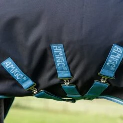 Amigo Bravo 12 Plus Turnout Bundle 16 Amigo Bravo 12 Plus Turnout Bundle -Horse Supply Store TE024219 892113 05