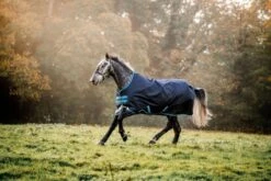 Amigo Bravo 12 Plus Turnout Bundle 17 Amigo Bravo 12 Plus Turnout Bundle -Horse Supply Store TE024219 927260 01