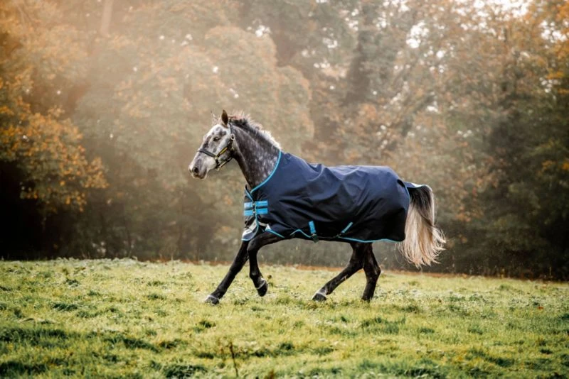 Amigo Bravo 12 Plus Turnout Bundle 10 Amigo Bravo 12 Plus Turnout Bundle - Image 8