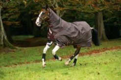 Amigo Bravo 12 Plus Turnout 100g -Horse Supply Store TE024220 864880