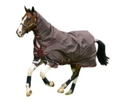 Amigo Bravo 12 Plus Turnout 100g -Horse Supply Store TE024220 864880 WO