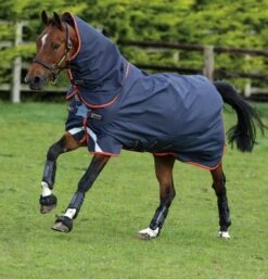 Amigo Bravo 12 Plus Turnout 100g -Horse Supply Store TE024220 P