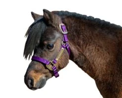 Ozark Mini/Pony Personalized Nylon Halter -Horse Supply Store TE025111 564073 06