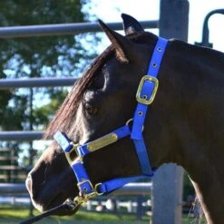 Ozark Mini/Pony Personalized Nylon Halter -Horse Supply Store TE025111 815405 06