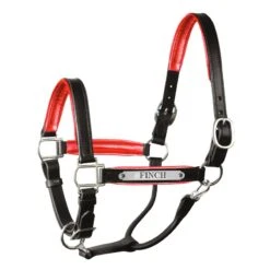 Engraved Black Metallic Halter -Horse Supply Store TE027223 02