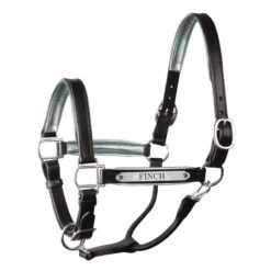 Engraved Black Metallic Halter -Horse Supply Store TE027223 03
