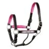 Engraved Black Metallic Halter -Horse Supply Store TE027223 P
