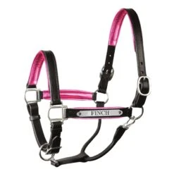 Engraved Black Metallic Halter