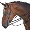 M Toulouse Devon Snaffle Hunter Bridle -Horse Supply Store TE027842 P