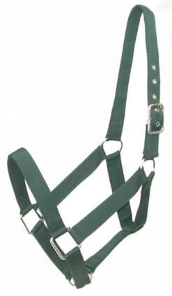 Gatsby Nylon Draft Halter -Horse Supply Store TE028004 796932