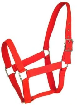 Gatsby Nylon Draft Halter -Horse Supply Store TE028004 796991