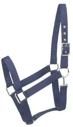 Gatsby Nylon Draft Halter/Snap -Horse Supply Store TE028005 02