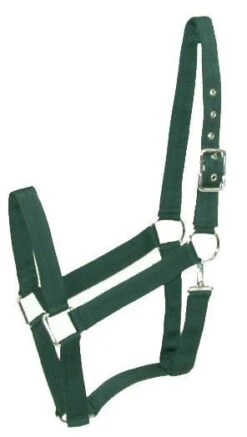 Gatsby Nylon Draft Halter/Snap -Horse Supply Store TE028005 05