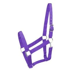 Gatsby Nylon Draft Halter/Snap -Horse Supply Store TE028005 796992 01