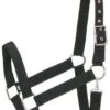 Gatsby Nylon Draft Halter/Snap -Horse Supply Store TE028005 P
