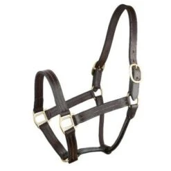 Gatsby Triple Stitched No Snap Halter