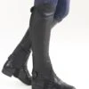 Ovation Ladies TreVizzo Leather Half Chap 1 Ovation Ladies TreVizzo Leather Half Chap -Horse Supply Store TE028322