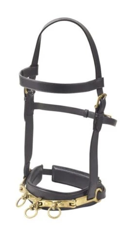 Camelot Leather Lunge Caveson Full Brown