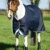 Amigo Pony Bravo 12 Medium Turnout -Horse Supply Store TE028671 P