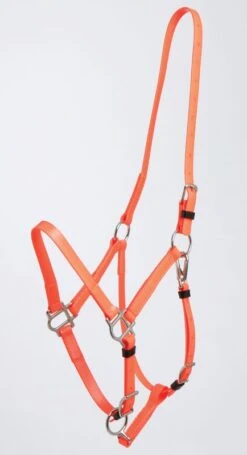 Zilco Deluxe Endurance Halter Arab/Full -Horse Supply Store TE029773 06 814250