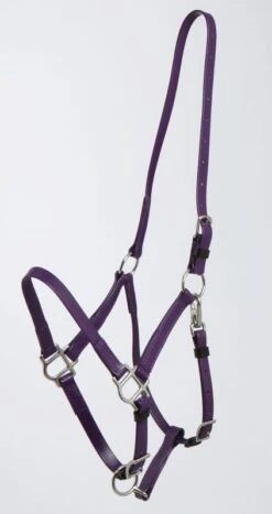 Zilco Deluxe Endurance Halter Arab/Full -Horse Supply Store TE029773 08 814252