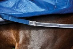 Weatherbeeta WB Premier Free Standard Neck Lite 23 Weatherbeeta WB Premier Free Standard Neck Lite -Horse Supply Store TE031613 09