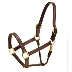 Tory ProKentucky Track Halter -Horse Supply Store TE031637 838933