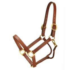 Tory ProKentucky Track Halter