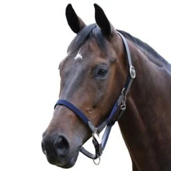 Kincade Leather Web Headcollar -Horse Supply Store TE031775 840764